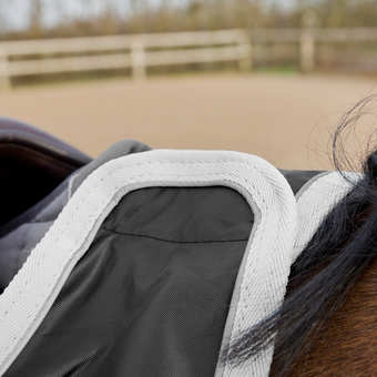 Bederka Horze černá