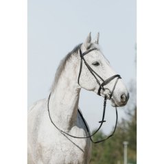 RIDING WORLD uzdečka s kombinovaným nánosníkem pro koně RIDING WORLD uzdečka s kombinovaným nánosníkem pro koně