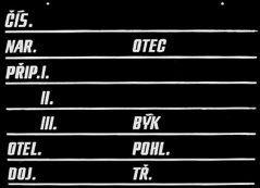 Stájová tabulka D8, krávy 30x40cm