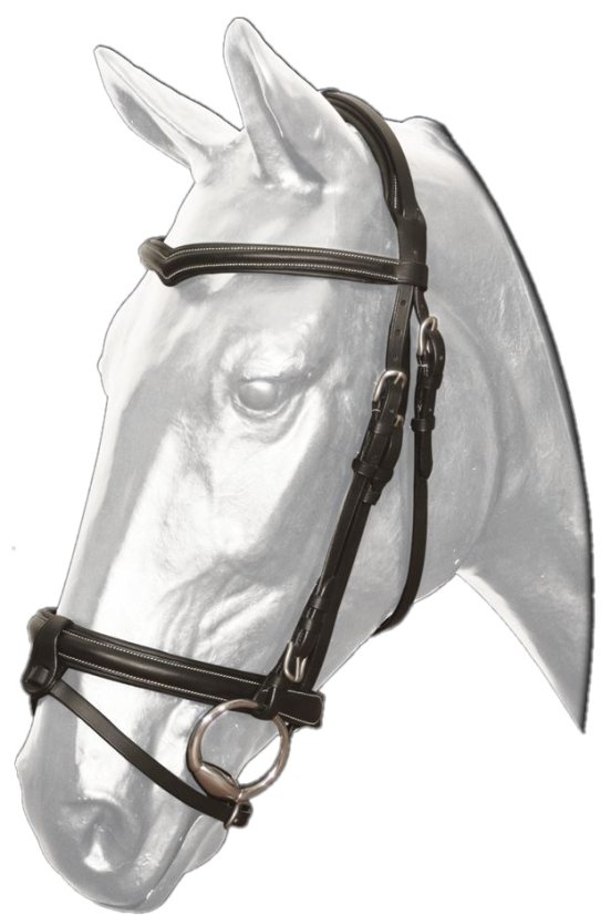 Uzdečka KENTAUR čelenka ´´V´´, prošev