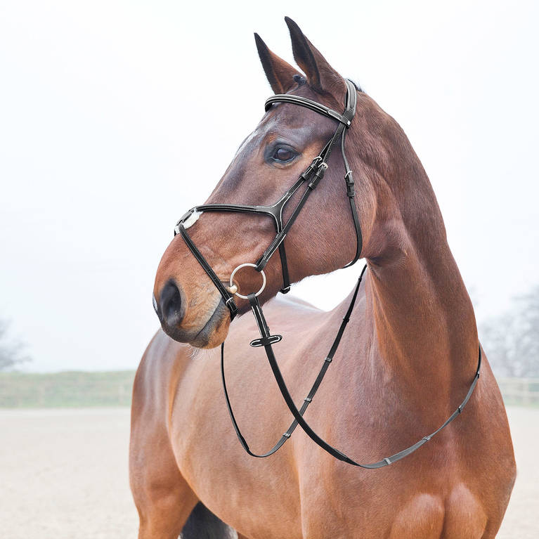 Uzdečka HORZE Prescott kožená