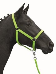 Stájovka HKM Stars Softice