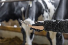 Kopytní nůž Aesculap velký oboustranný