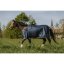 RIDING WORLD Eco 1200D/0g výběhová deka pro koně modrá