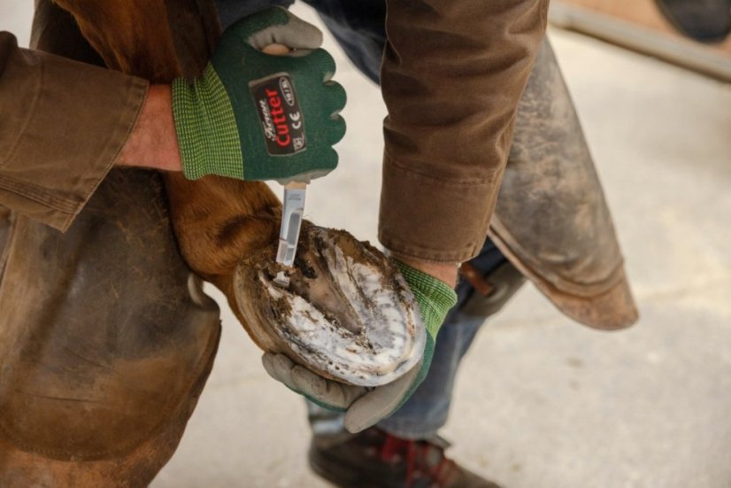 Kopytní nůž Aesculap úzký oboustranný