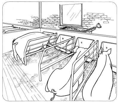 OK Plast koryto pro prasnice velké 25ltr.