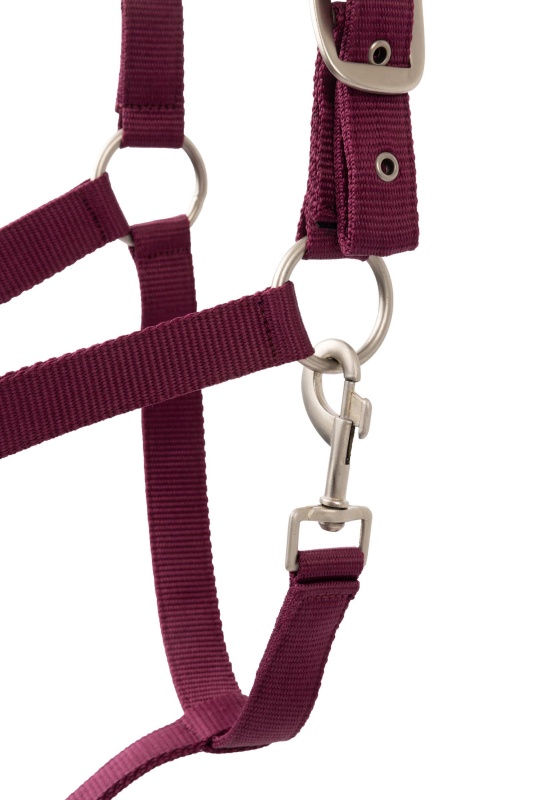 HORZE Eternal Gaze stájovka s vodítkem pro koně