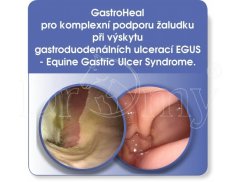 DROMY GastroHeal krmivo pro koně s  žaludečními vředy 3kg