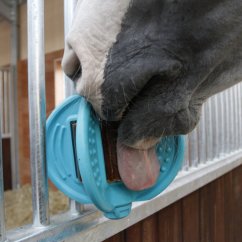 Hračka pro koně Bizzy Ball