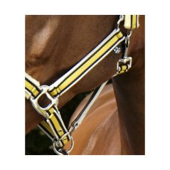 Stájovka EQUITHEME Ligne