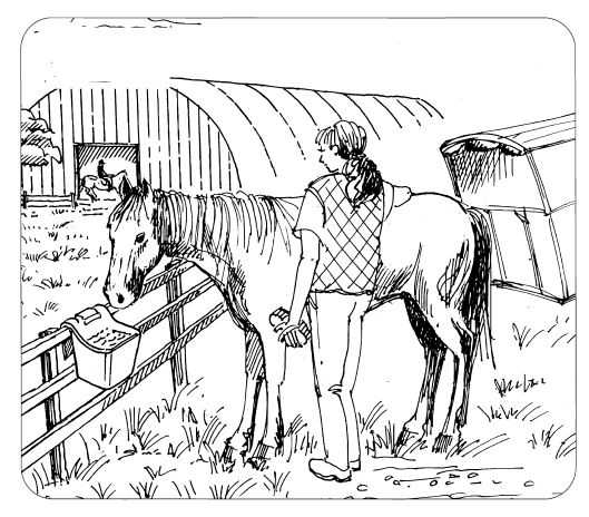 OK PLAST závěsný žlab pro koně, 13ltr.