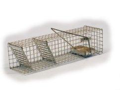 Sklopec past na myši drátěná