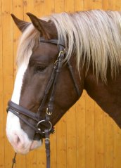 Uzdečka pro chladnokrevníka vel.4 Uzdečka pro chladnokrevníka vel.4