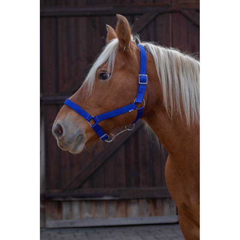 NORTON Draught Horse stájovka pro chladnokrevníky