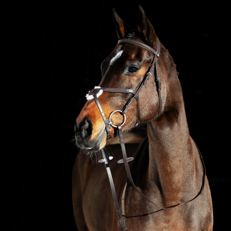 Uzdečka HORZE Prescott kožená