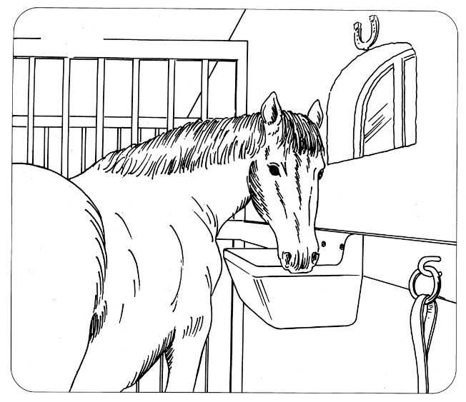 Ochranné víko OK PLAST pro 16 l přímý žlab