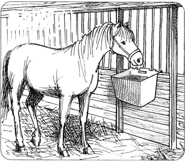 OK Plast závěsný krmný žlab pro koně a skot 30ltr.