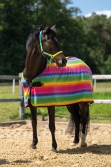 Odpocovací deka pro poníky, minihorse HKM Rainbow
