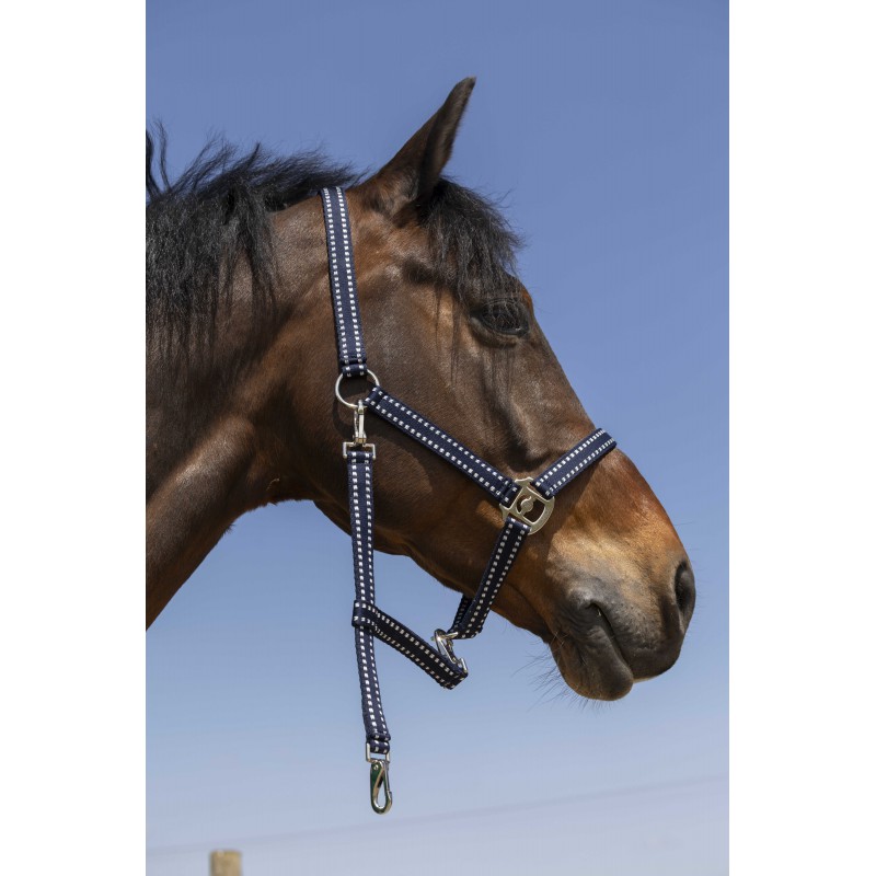 NORTON Grooming stájovka pro koně