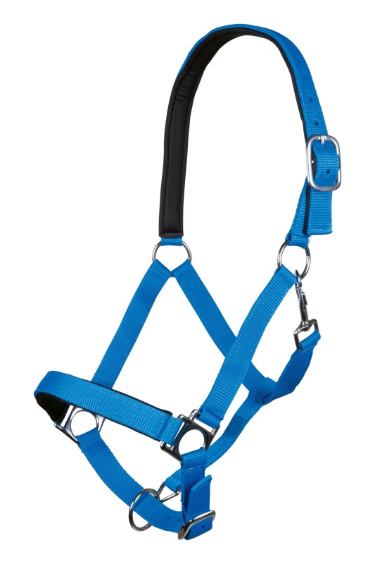 Stájovka HKM Stars Softice