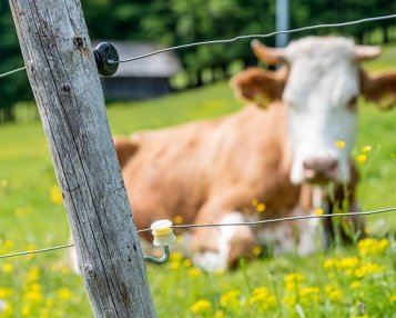 Zásady instalace elektrických ohradníků