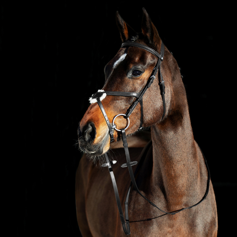 Uzdečka HORZE Prescott kožená