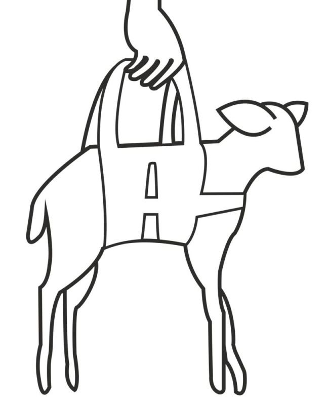 Nylonový závěs pro jehňata na nošení a vážení