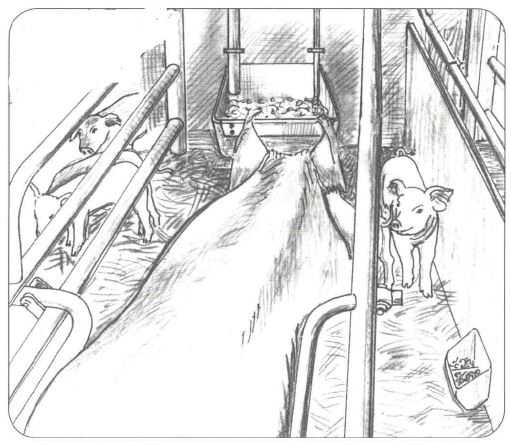 OK PLAST krmné koryto pro prasnice N12ltr.