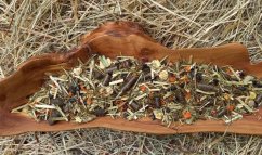 NovaEqui Metabolic bezobilné müsli pro koně 15kg