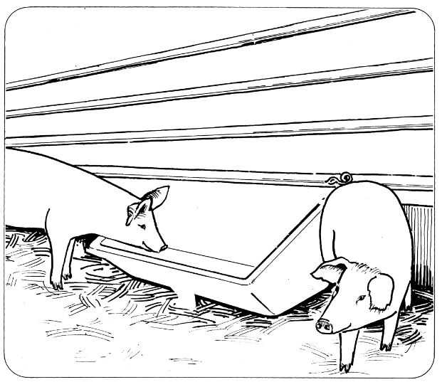 OK PLAST žlab pro skot a prasata široký 77cm, 26ltr.