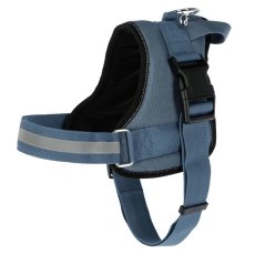 Postroj MAESTRO 2.0 pro psy