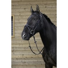 RIDING WORLD uzdečka s kombinovaným nánosníkem pro koně