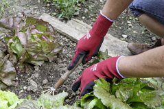 Rukavice zahradní Soft N Care Landscape