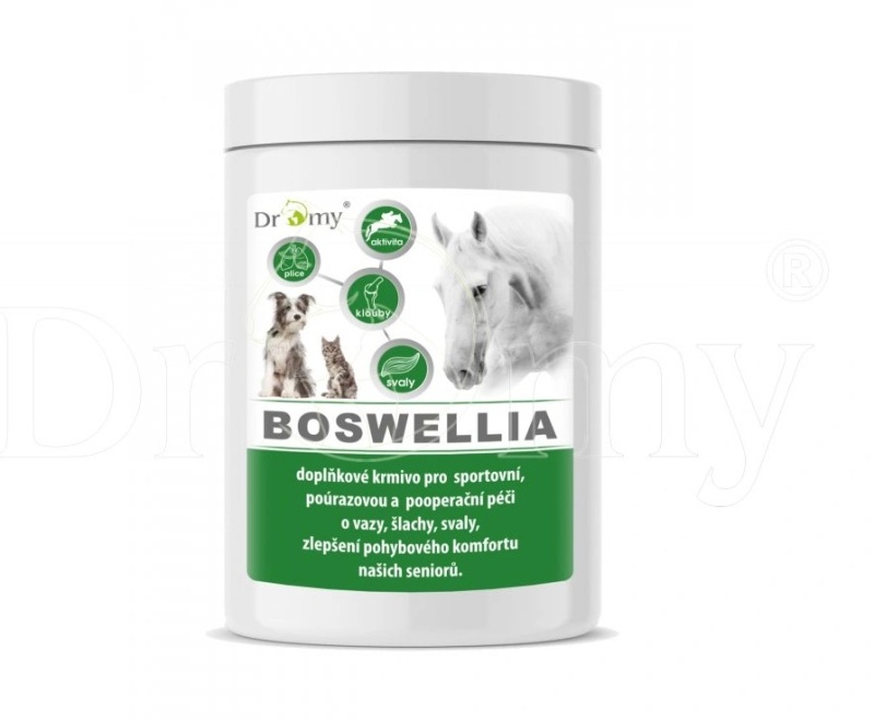 DROMY Boswellia Forte pro koně 750g