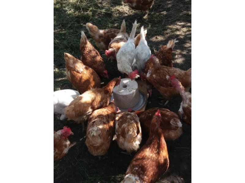 IFRAMIX GALLISweet minerální liz - kámen pro drůbež 5kg