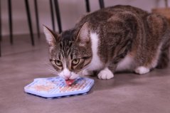 ZOLUX Silicone lízací podložka na pamlsky 18,5x15,5cm pro kočky