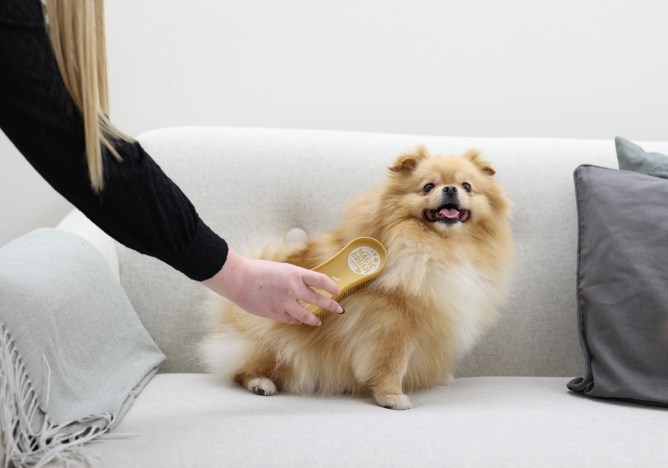 MagicBrush Soft kartáč plastový jemný žlutý pro psy