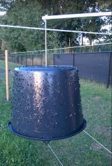 Lep na ovády STICKY-TRAP 1,5kg + 3 kbelíky