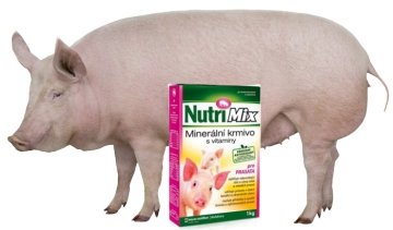 Lizy pro prasata, minerální doplňky