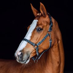 Stájovka pro koně HORZE Claremont