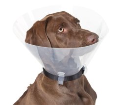 Ochranný límec pro psy plastový