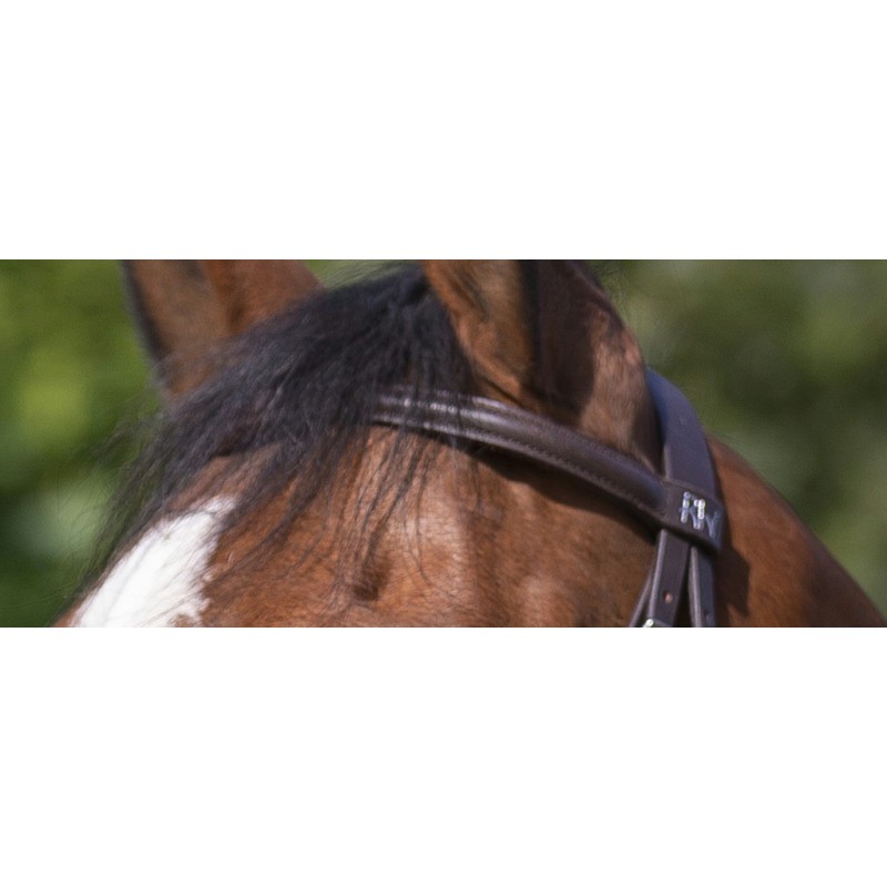 RIDING WORLD uzdečka s kombinovaným nánosníkem pro koně