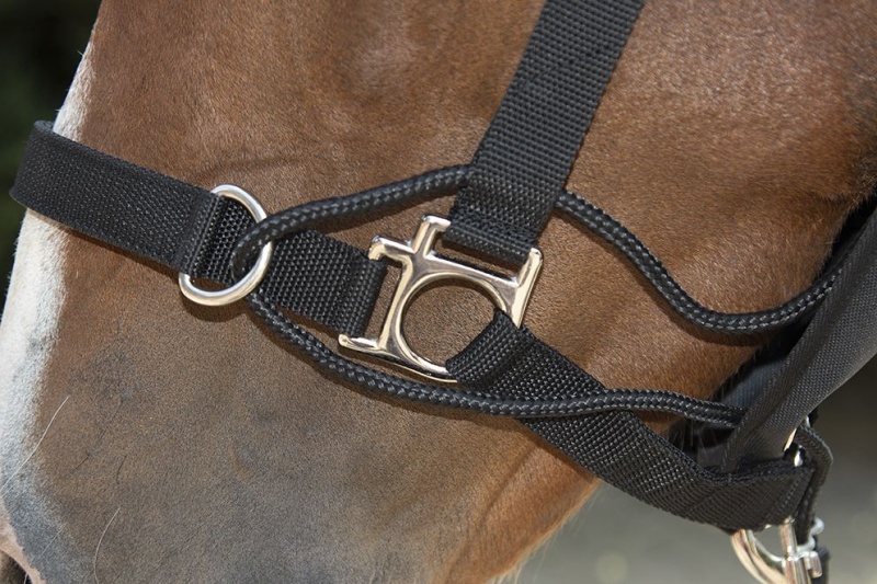 HKM Safe Control stájovka vodící černá