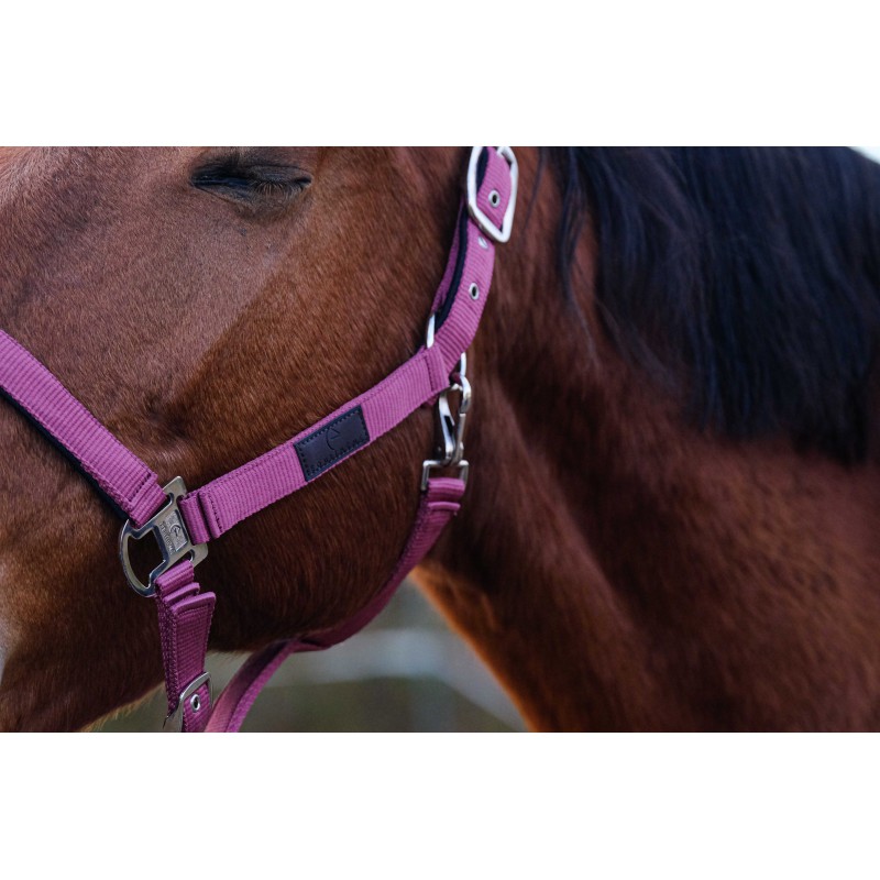 Stájovka pro koně  EQUITHEME Spring