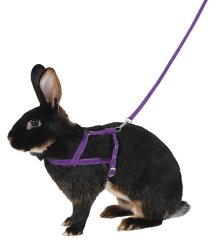 Postroj pro králíka AGILITY s vodítkem