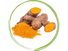 DROMY Kurkuma pro koně a psy, mletý oddenek 1kg