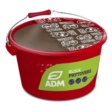 Minerální lizy pro koně