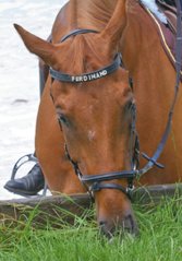 Čelenka HKM kožená podložená