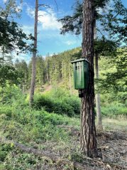 FEEDJET Around 360° krmný automat pro prasata, zvěř 100kg