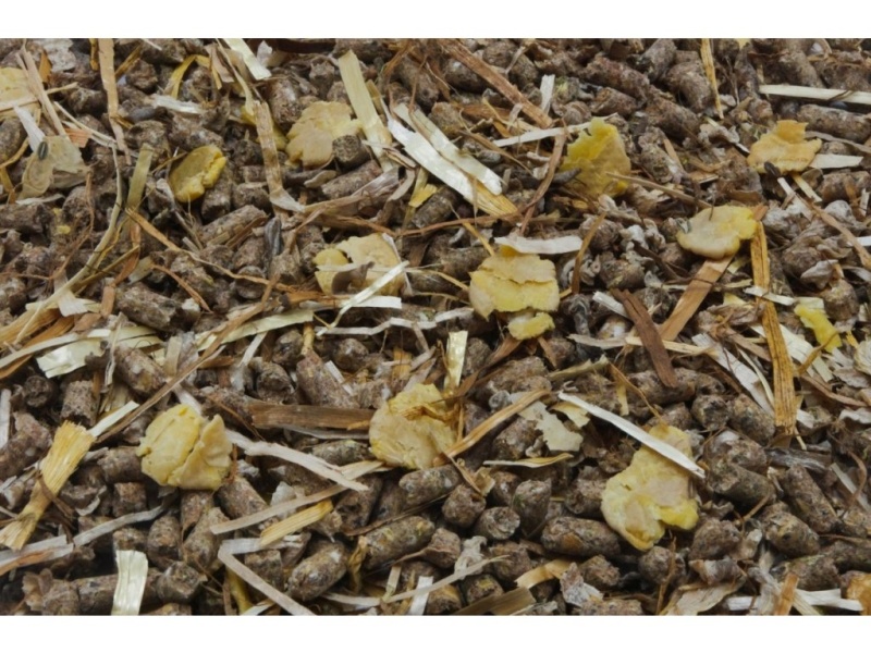 Bezobilné krmivo pro koně, pony špičkové kvality ADW TMR GRAIN FREE, 15kg